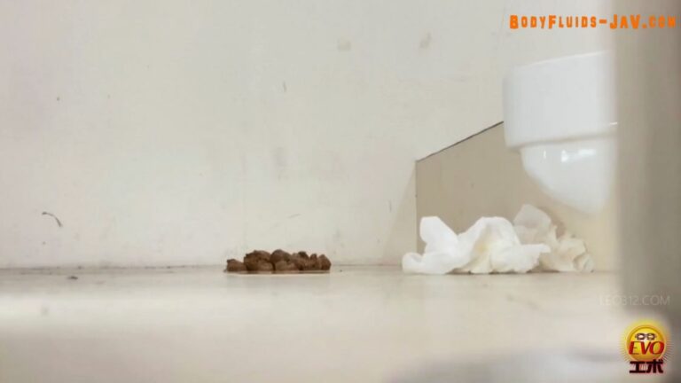 EE-719 公衆トイレ隠撮 淫語囁き 誘惑ギャルうんこ Public Toilet Shit, Hidden Camera (2023/FullHD/3.30 GB) 1.5206_EE-719
