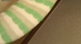 OPBD-194 Scat Harassment Excrement Reverse Leap スキャットハラスメント排泄物リバースリープ (2022/SD/6.35 GB) 1.4559_OPBD-194