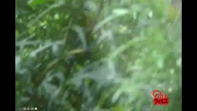 KBMS-125 Took A Picture Of Akane-san’s Poop あかねさんのうんちを撮りました (2022/FullHD/4.14 GB) 3.4561_KBMS-125