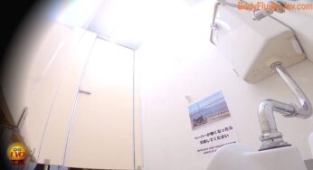 EE-561 Japanese Style Toilet Voyeur 和風トイレ盗撮 (2022/FullHD/3.11 GB) 2.4586_EE-561