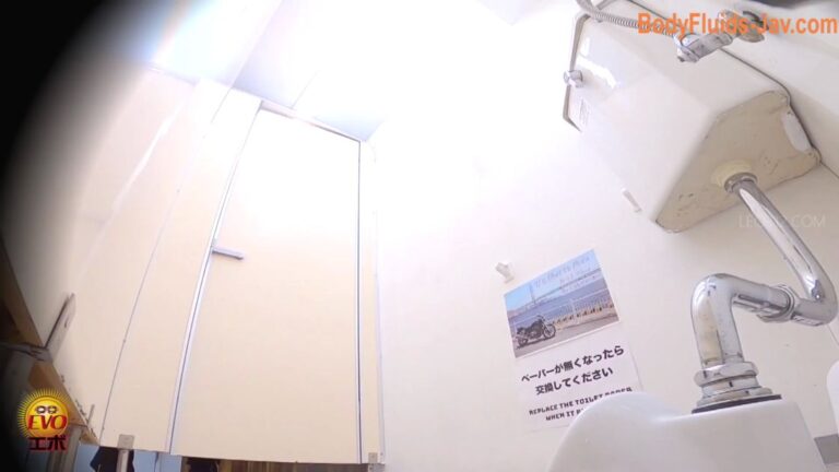 EE-561 Japanese Style Toilet Voyeur 和風トイレ盗撮 (2022/FullHD/3.11 GB) 2.4586_EE-561