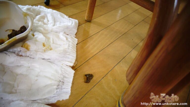 Amateur natural defecation of Rimi Hanamoto プープ 花本りみ (2022/HD/417 MB) 3.201_Unkotare-Ori10388_NEW