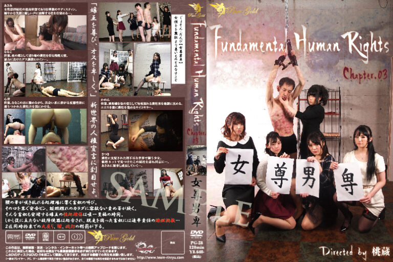 [PG-28] Yapoos’ Market Project Pure Gold (2023/Blu-ray remux/20.2GB)