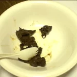 CUN-001 投稿 糞日記 Scat 脱糞生活素人食糞 糞日記
