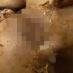 STAR-2010 下劣糞尿○女 Defecation スカトロ 幼獄 脱糞 ゲロ Scat