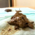 STD-404 ウンチ買取堂2 アナタのうんち100g1000円で売って下さい Pregnant Women 西園あみ 妊婦