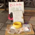 LOVE-231 現役地下アイドルさくらみみCD売上ノルマ達成ならず … コスプレ その他 5 LOVE-231 現役地下アイドルさくらみみCD売上ノルマ達成ならず … コスプレ その他