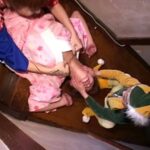 TK-010 人妻沿線 ぶらり旅 横浜元町Extreme おばさん 17 TK-010 人妻沿線 ぶらり旅 横浜元町Extreme おばさん