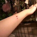 TK-012 高橋浩一の人妻巡り旅 その弐 不倫 メディアバンク Aunt 6 TK-012 高橋浩一の人妻巡り旅 その弐 不倫 メディアバンク Aunt