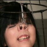 CMC-041 CineMagic DVD ベスト30 5 円城ひとみ 真野沙代 篠原ケイ Erena Kurosawa Sakura Aragaki 白河ゆりか Chihiro Asai Ayane Aino 前野美伽 葵みちる 5 CMC-041 CineMagic DVD ベスト30 5 円城ひとみ 真野沙代 篠原ケイ Erena Kurosawa Sakura Aragaki 白河ゆりか Chihiro Asai Ayane Aino 前野美伽 葵みちる