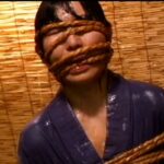 CMC-041 CineMagic DVD ベスト30 5 円城ひとみ 真野沙代 篠原ケイ Erena Kurosawa Sakura Aragaki 白河ゆりか Chihiro Asai Ayane Aino 前野美伽 葵みちる 7 CMC-041 CineMagic DVD ベスト30 5 円城ひとみ 真野沙代 篠原ケイ Erena Kurosawa Sakura Aragaki 白河ゆりか Chihiro Asai Ayane Aino 前野美伽 葵みちる