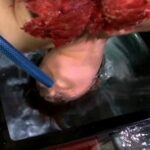 CMC-104 ベリベスト Kawakami Yuu Morino Shizuku リーシュ犬に暴行屈辱ポーズ Bondage