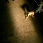 CMC-115 美少女コレクター 胡蝶の罠 辻本りょう Hayase Megu シネマジック