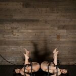 AVOP-256 アイアンクリムゾン・ドス 水野朝陽 西条沙羅 AV OPEN 2016 Tied ハード部門 中出し 巨乳 Insult Planning Mizuno Asahi, Saijou Sara 3 AVOP-256 アイアンクリムゾン・ドス 水野朝陽 西条沙羅 AV OPEN 2016 Tied ハード部門 中出し 巨乳 Insult Planning Mizuno Asahi, Saijou Sara