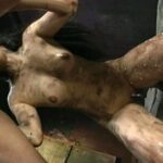 DDT-494 96h みづなれい フェラ・手コキ Piss Drinking 監禁・拘束 Planning 陵辱 飲尿 Cum ゲロ Mitsuna Rei