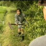 FAX-373 男の性欲を刺激する レイプ・レイプ・レイプ大全集 横山翔子 監禁 愛乃彩音 Captivity Rape Yuuki Rina, Yokoyama Syouko, Matsushita Yuuka 6 FAX-373 男の性欲を刺激する レイプ・レイプ・レイプ大全集 横山翔子 監禁 愛乃彩音 Captivity Rape Yuuki Rina, Yokoyama Syouko, Matsushita Yuuka