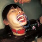 STAR-1082 浣腸飲尿 変態少女肉便器 4 Vomiting Golden Showers Scat Lolita 8 STAR-1082 浣腸飲尿 変態少女肉便器 4 Vomiting Golden Showers Scat Lolita