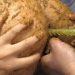 VRXS-153 あなたのお家に高沢沙耶がやってくる 全国うんこ紀行 … V＆Rプランニング Amateur 安達かおる Takazawa Saya