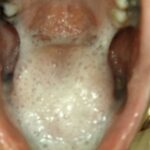 JS-048 Kanno Shizuka 小学0年生＆小学0年生 リバイバルミックス版 Kohaku Uta エンプロ ジュニアアイドル Honma Yuri