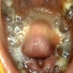 JS-048 Kanno Shizuka 小学0年生＆小学0年生 リバイバルミックス版 Kohaku Uta エンプロ ジュニアアイドル Honma Yuri