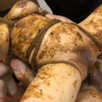 OPUD-205 糞豚臭恥 肛門を弄られて激臭大便してしまった団地妻 120分 おばさん スカトロ 9 OPUD-205 糞豚臭恥 肛門を弄られて激臭大便してしまった団地妻 120分 おばさん スカトロ