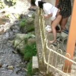 NDX-035 プレステージ 某総合病院リハビリテーション病棟の敷地で、回復期の患者と青姦ファックする看護婦たち。 なめこＤＸ