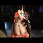 CAOH-021 真・雪村春樹大全集 3 SM Rape 凌辱 Hinata Megu, Masaki Nao