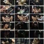 PHD-030 M女鬼縛列伝 肉体悶絶 弄ばれる緊縛娘 86分 マニア9 凌辱