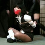 DOMS-008 Masaki Nene 囚われのヒロイン 危機に陥ったねね 監禁・拘束 隷嬢寫眞館EX／妄想族