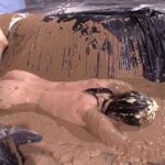 RCTD-075 Hitomi Madoka, Kawagoe Yui ローション、墨汁、どろんこまみれ！ウェット＆メッシー（WAM）AV女優○×クイズ Actress フェチ