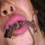 VRXM-003 Heiya Katsuyuki 水戸拷悶～大江戸ひきまわし～ 水戸拷悶 不完全版 ザ… 総集編 Exposure 210分 Omnibus 露出