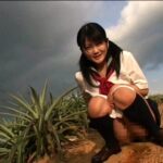 PSD-305 Hidaka Yuria, Nanase Biya キレイナウンチ 芸能人脱糞 Ass (Fetish) Entertainer Fetish レイディックス