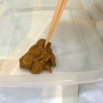 TAN-403 RADIX 素人うんこだらけ 3 スカトロ Scat レイディックス