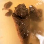 TAN-414 Tanseki 素人うんち倶楽部 4 糞便まみれ ここは一線を超えた大人の社交場。 脱糞 Defecation スカトロ