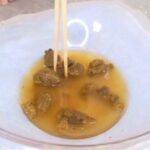 TAN-416 素人うんち倶楽部 6 TANSEKI Flatus スカトロ Other Amateur Humiliation