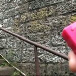 PSI-408 Shousaki Mio 浣腸飼育 強制野外排泄 2 フェラ・手コキ 131分 Scat Deep Throating 女子校生 School Girls