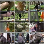 E2-11 覗撮 春！！ 野糞野尿 花見にて Other Scat フェチ Voyeur エボ・ビジュアル