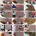 EE-057 ジェイド 盗覗4カメトイレ 飛び出すウンコ！ Voyeur エボ・ビジュアル 129分