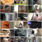 EE-060 ジェイド 盗撮 民家内仰天排泄 ~便所で用を足さない女たち~ Voyeur 2 EE-060 ジェイド 盗撮 民家内仰天排泄 ~便所で用を足さない女たち~ Voyeur