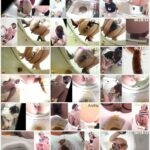 EE-206 ジェイド 2017EVO うんこのすべて ～今年のうんこ全部入り～ Defecation Omnibus