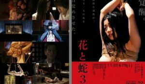 FAS-2014 Flower and Snake III Zero フラワーとスネークIIIゼロ