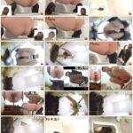 FF-167 ジェイド OLトイレ盗撮 流れないウンチ激臭パニック ニ 放尿 Scat 141分 Defecation