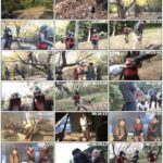 GHPM-97 Kasugano Yui, Seina Arisa, Miori Mai 女下忍衆 ～無念！！散りゐく雑魚くノ一たち～ 95分 宇那月 Giga