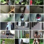 PM-118 盗撮！！ 野グソ野ション 10 紙なしパニック編 Voyeur Exposure パックメン ジェイド