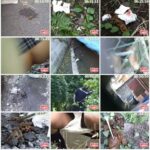 SMHD-02 ジェイド 過激隠撮SP 街中の放尿・脱糞女子校生2 Golden Showers その他女子校生