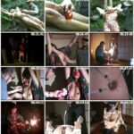 SVND-054 Itou Mai 志摩紫光調教シリーズ 伊藤舞VS志摩紫光 志摩プランニング