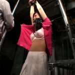 ADVO-006 Inamori Shiho (稲森しほ) ＳＭ獄窓 ７ アートビデオＳＭ／妄想族 Restraint