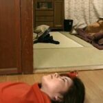 FAX-388 Kitahara Natsumi, Kawakami Yuu 歪んだ性本能 男はソレをやってみたい！ 眠らせた女を犯す！ ＦＡ映像出版プロダクト