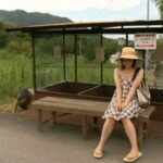 FAX-427 Iijima Kurara, Kujuu Miharu レイプの夏 一人歩きの女を襲う／アベック襲撃事件／人組に襲われた女 Exposure 100分 露出