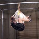 DBEB-002 Baby Entertainment 痙攣凌辱狂乱 凌辱という名の狂気なる媚薬 企画 催眠・ドラッグ Planning 7 DBEB-002 Baby Entertainment 痙攣凌辱狂乱 凌辱という名の狂気なる媚薬 企画 催眠・ドラッグ Planning